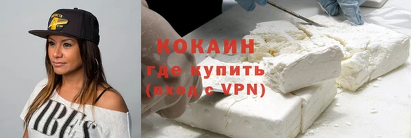 крисы Алексин