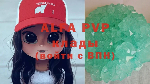 крисы Алексин