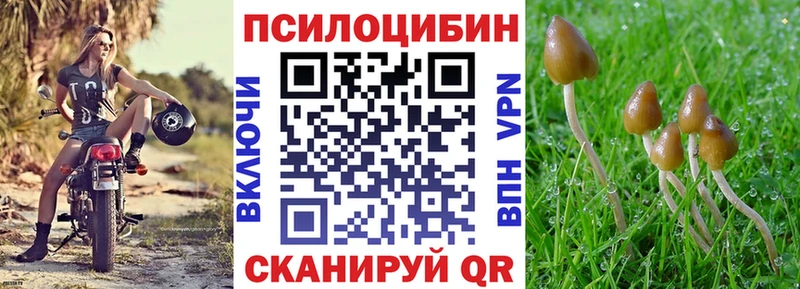 Псилоцибиновые грибы Psilocybe  Тара 